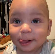 What are fish biting