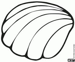 Malvorlagen Eine Marine Muschel Ausmalbilder Malvorlagen Ausmalen Ausmalbilder