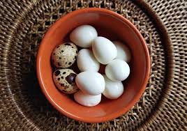 Carefully drain hot water and fill saucepan with ice cold water. How To Steam Quail Eggs A Farm Girl In The Making
