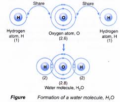 How Is Covalent Bond Is Formed A Plus Topper Formationofcovalentbond Covalent Bonding Chemistry For Kids Bond