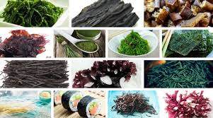 Dentro de unos días empezamos un curso online por telegram, para apuntarte sigue las. Como Cocinar Las Algas Marinas La Cocina Ortomolecular