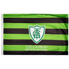 We did not find results for: Bandeira America Mineiro 1971 Torcedor Futfanatics