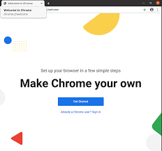 Google's new chrome 3.0 browser promises faster page loading, customizable themes, and an updated tab page. 2 Ways To Install Google Chrome In Ubuntu 20 04 Lts Linuxways