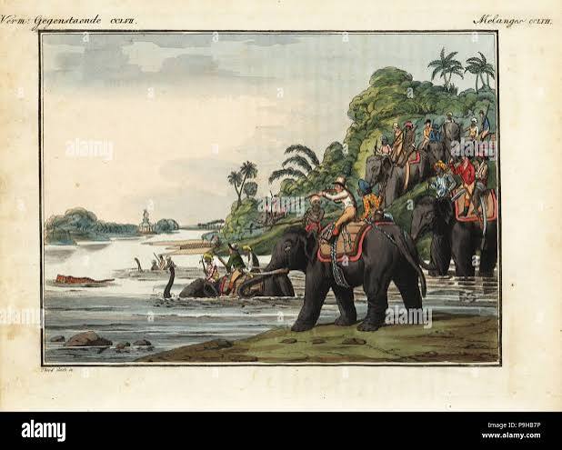 British in india shooting tiger from elephants hi-res stock photography and images - Alamy
