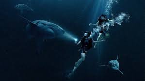 47 Meters Down Film De Requin Film Streaming Film