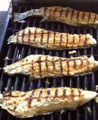 We did not find results for: 7 Black Drum Ideas Redfish Recipes Drum Fish Recipe Black Drum Fish Recipe