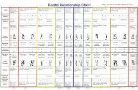 How To Read Iridology Chart Dental Relationship Chart