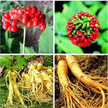 150 Best Seeds Images Seeds Fruit Seeds Garden Supplies