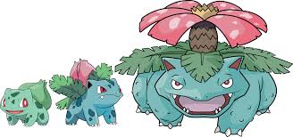 Bulbasaur Ivysaur Venusaur By Rayo123000 Bulbasaur Pokemon Bulbasaur Pokemon