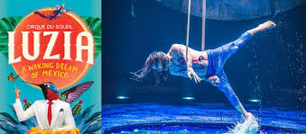 Cirque Du Soleil Luzia Citi Field Flushing Ny