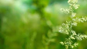 Baru tahu dan ini keren!!! Background Power Point Keren Keren Baground Power Point 1600x900 Wallpaper Teahub Io