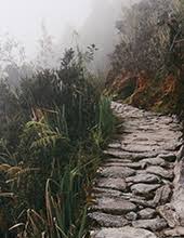 Obituary information for Lee Hamrick