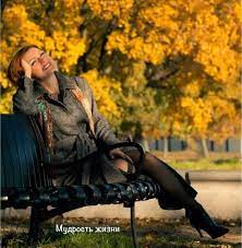     ,  ,  .       ,    .       ,  - ,  .  