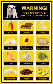 Food Good For Dogs Liver Online