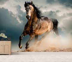 After a quick gallop through roman history, he. Vlies Tapete Xxl Poster Fototapete Pferd Wild Galopp Ebay