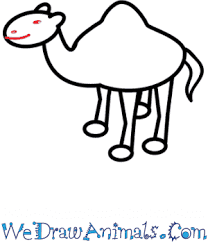 Post category:step by step drawing for kids. How To Draw A Simple Camel For Kids