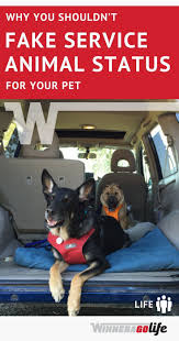 There Are Companies Saying They Ll Help You Register Your Pets As An Emotional Support Animal So You Can Travel With Them Anywhere Service Animal Animals Pets