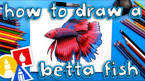 Copyright © 2021 all rights reserved fish fighter® products. How To Draw A Realistic Betta Fish Siamese Fighting Fish Youtube
