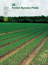 Then you should hire shuster's pest control. Forest Nursery Pests Web Plant Nursery Fungus
