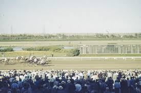 The 146th preakness stakes will be held on saturday, may 15. What To Expect At The Preakness Stakes 2021