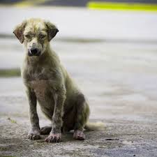 La riunione si protraeva da ore. 101 Frasi Sull Abbandono