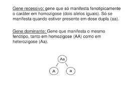 Последние твиты от fenotipicamente afrobege (@_duque). Ppt Conceitos Basicos Em Genetica Powerpoint Presentation Free Download Id 1736485