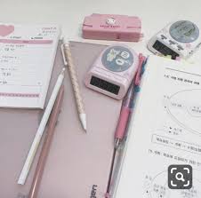 Korean Stationery Study Timer Study Inspiration Studying Stationary A korean freelancer dairy with her poodle dog bebe. korean stationery study timer study