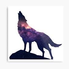 Awesome collection hd wolf wallpapers and background images for pc, laptop, ipad, chromebook, android, iphone, mobile phone. Galaxy Wolf Background Gifts Merchandise Redbubble