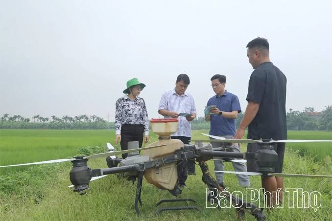 Nhân rộng diện tích lúa cấy theo mô hình giảm phát thải