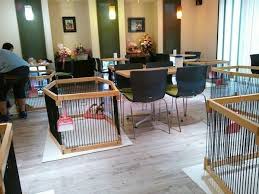 Pet Cafe Idea Pet Cafe Dog Cafe Cafe Interior