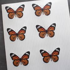 It is perhaps the best known of all north american butterflies. Butterfly Wing Resin Earrings Diy Resin Crafts