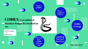 Cobra Consolidated Omnibus Budget Reconciliation Act By