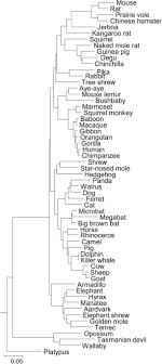 The number of chromosomes in each gametes ,2n/n=24/2.means,n=12(ans). Molecular Evolution Of The Tissue Nonspecific Alkaline Phosphatase Allows Prediction And Validation Of Missense Mutations Responsible For Hypophosphatasia Journal Of Biological Chemistry
