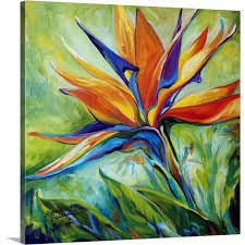 Greatbigcanvas Blessed Day Bird Of Paradise By Marcia Baldwin Canvas Wall Art 2527606 24 24x24 The Home Depot Wall Art Prints Art Prints Canvas Wall Art
