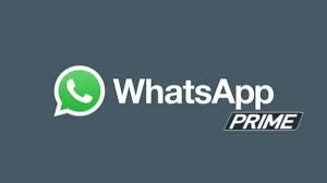 Want to use the latest whatsapp features ahead of everyone else? Download Whatsapp Prime Apk Official Latest Version 2021 Updated