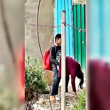 Two Women Engage In Outdoor Lesbian Activities Captured On Hidden Camera  And Receive Intense Penetration - XXXBP