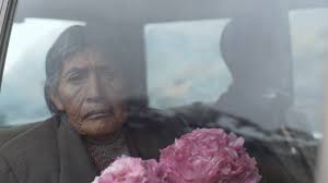 The Names Of The Flowers Haifa 37th International Film Festival If only the loveliest name will fit your little rose petal, check out our list of flower baby names, mostly for girls. the names of the flowers haifa 37th