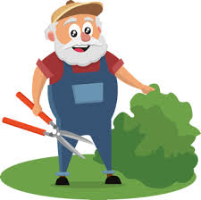 Den richtigen zeitpunkt zum düngen ihres rasens und bei welchem wetter sie düngen sollten erfahren sie hier. Hecke Dungen Notwendig Falls Ja Wie Wann Womit