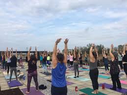 Check spelling or type a new query. Early Morning Yoga At The Gardens April Session Cancelled Waterfront Botanical Gardens