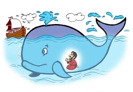 Namun, pada mata dan perutnya berwarna putih. Kartun Anak Anak Kartun Anak Twitter