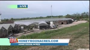 Honeymoon acres gravesville sihtnumber 53061. Show Your Garden Some Love With Plants From Honeymoon Acres