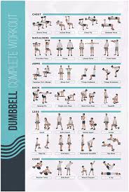 Workout free pictures, images and stock photos. Amazon Com Fitmate Dumbbell Workout Exercise Poster Workout Routine With Free Weights Home Gym Decor Room Guide Office Products