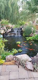 Pin By Anna Huttner On Koi Ponds Fish Pond Gardens Garden Pond Design Koi Pond Backyard