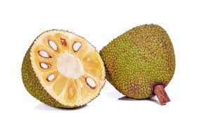 We did not find results for: Jackfruit Nutrition Facts And Health Benefits