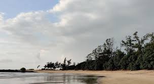 Revdanda Beach - Discover India