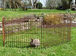 Halten sie ihren garten schön schauen, was auch immer sein stil und was auch immer die jahreszeit und bekommen inspiration und praktische ratschläge für gartenliebhaber, die das beste aus ihrem. Pin Auf Kleintierzaun Mobile Gitter Rabbit