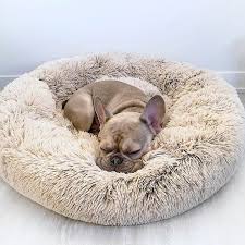 The calming bed is passionate about improving the lives of pets and the people that love them. Pin On Cuccioli Di Cani