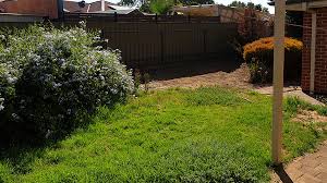 Sawmi lawn renovations, adelaide, south australia. Lawn Mowing Growing Playford Garden Care