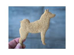 Image result for západosibiřská lajka