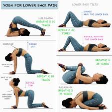 Pin On Lower Back Stretches